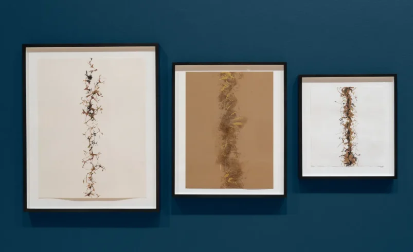 Barry Schwabsky on the best exhibitions of the year