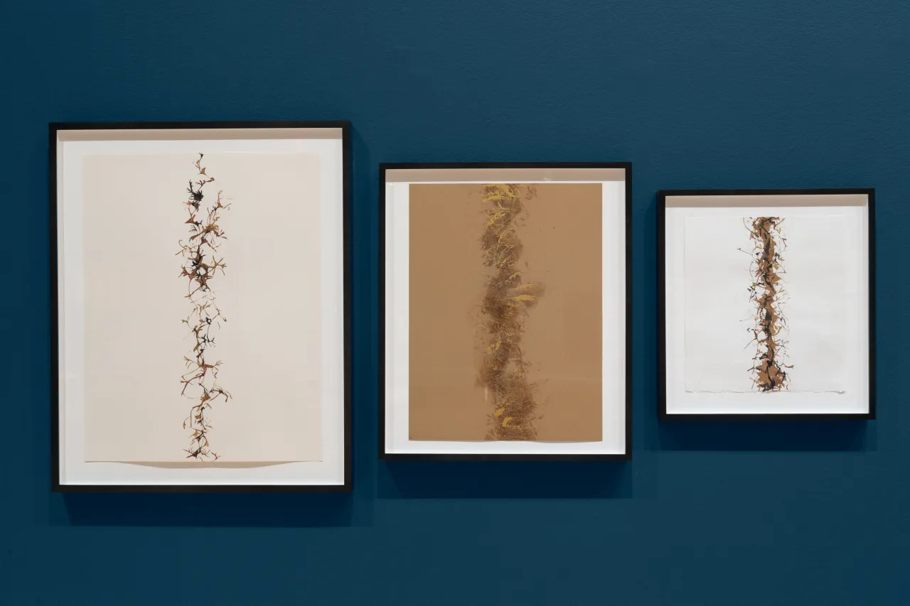 Barry Schwabsky on the best exhibitions of the year
