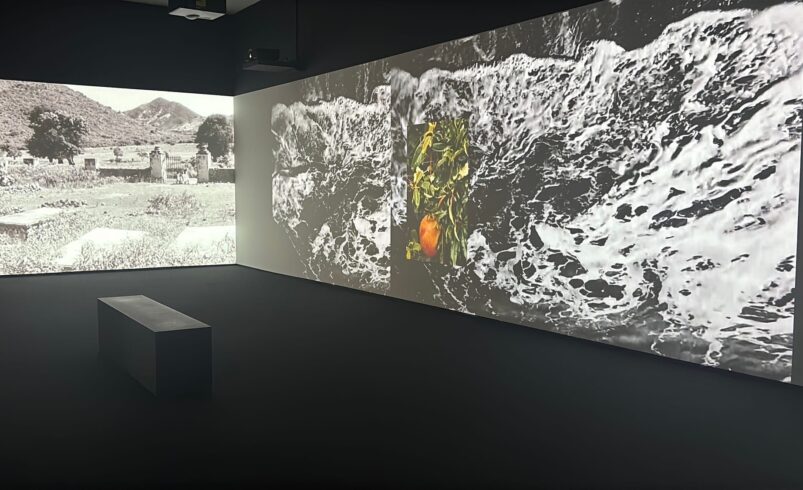 Caribbean Artists Take on the Myth of Tropical Escapism